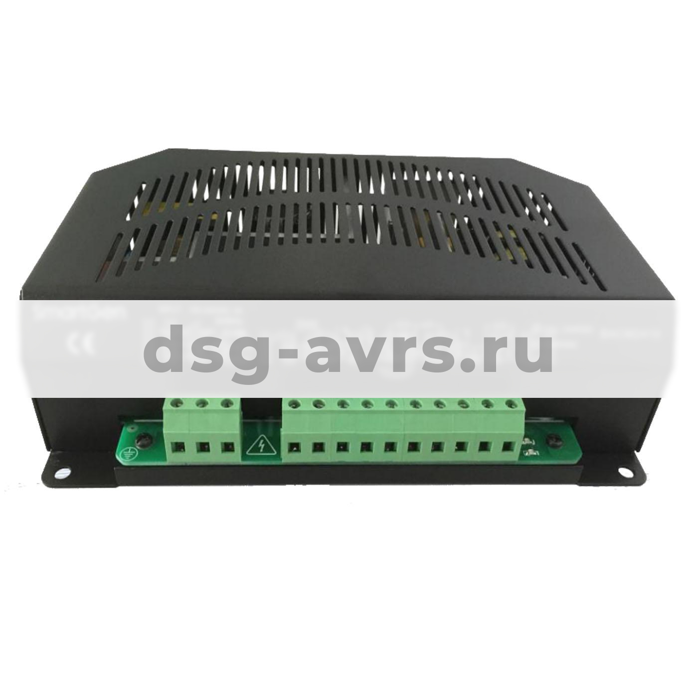 Зарядное устройство Smartgen BAC2410 (BAC-2410) и BACM2410(BACM-2410)
